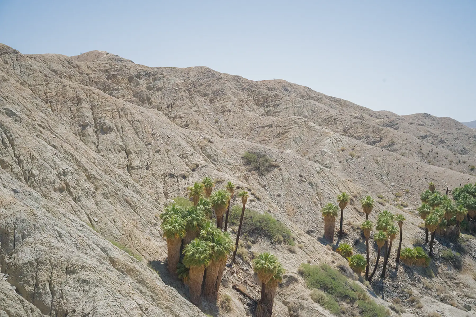 Thousand Palms, CA, US