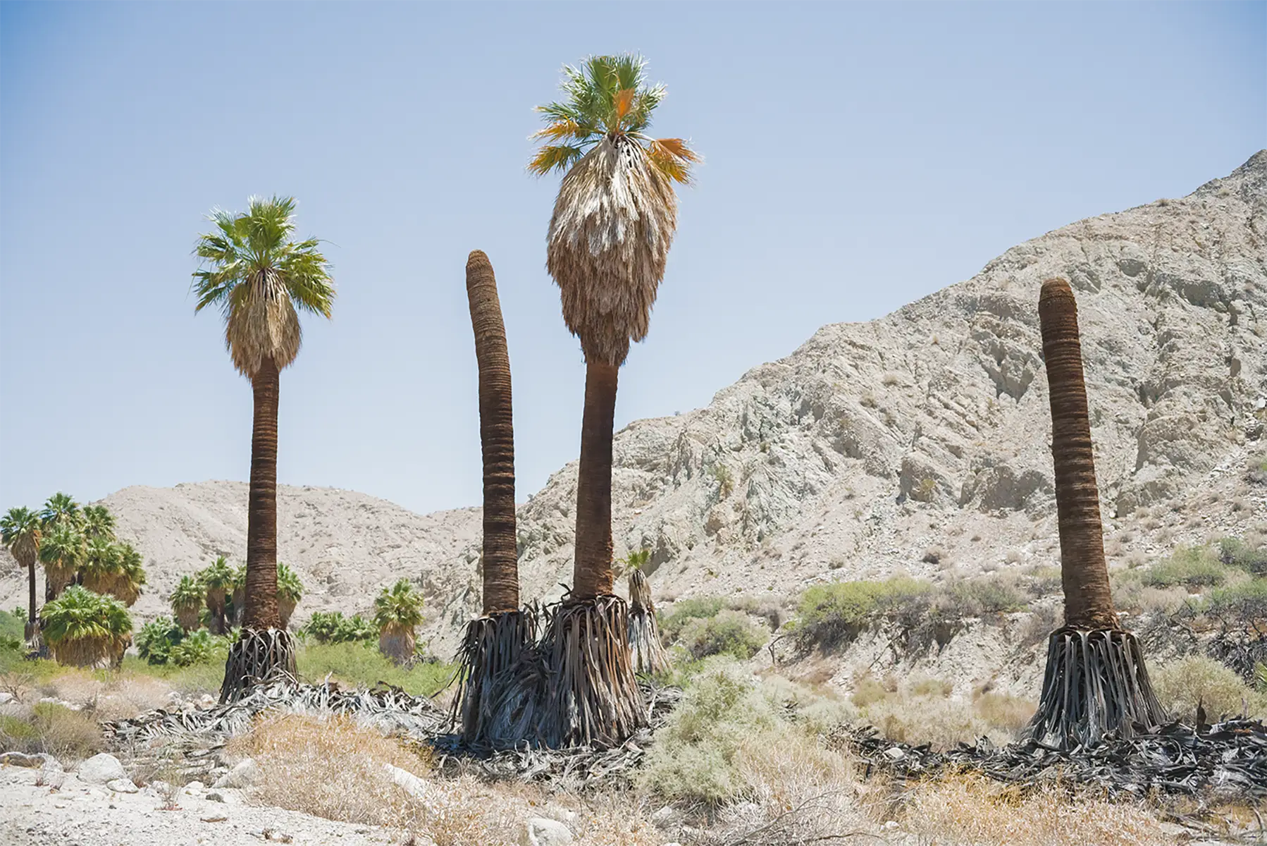 Thousand Palms, CA, US