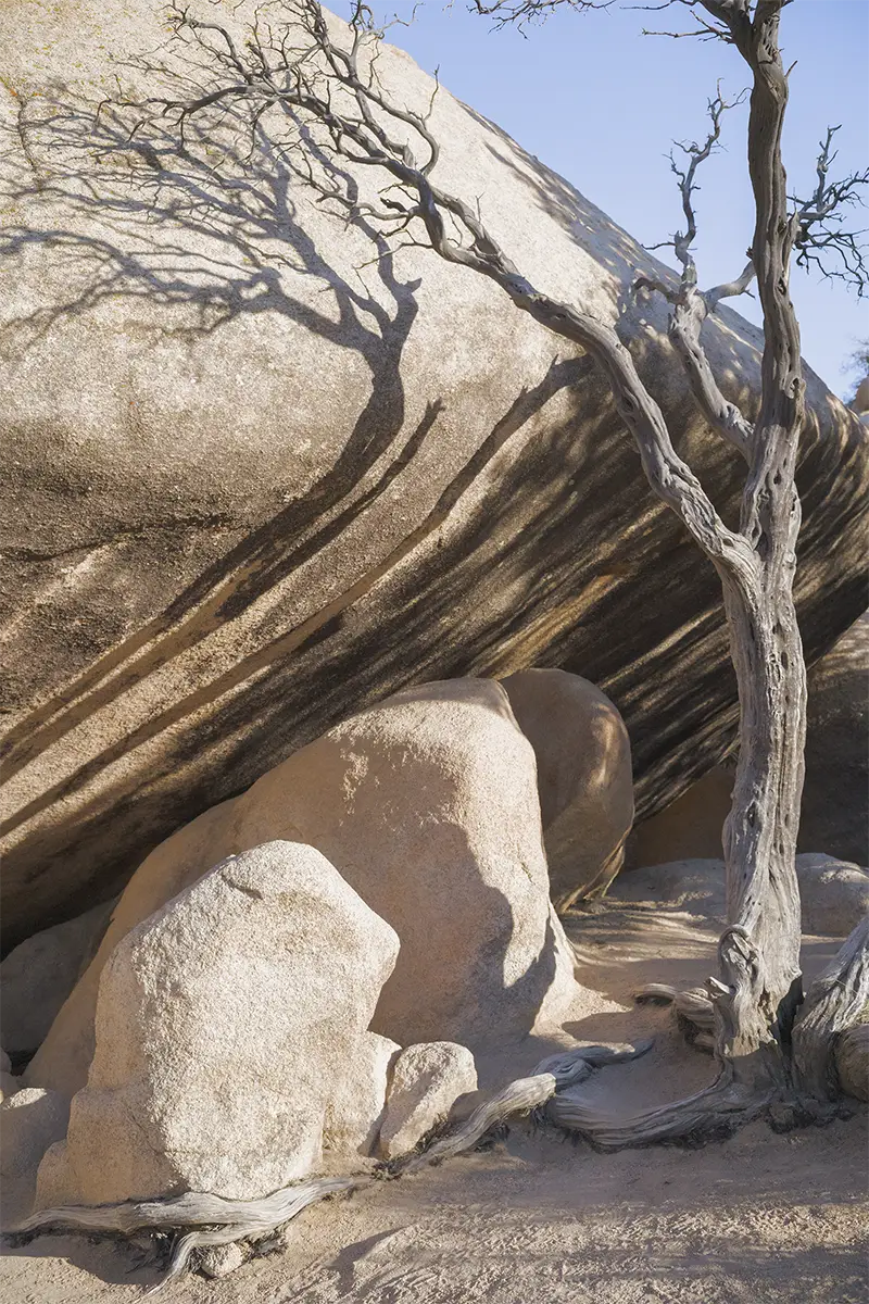 Joshua Tree, CA, US