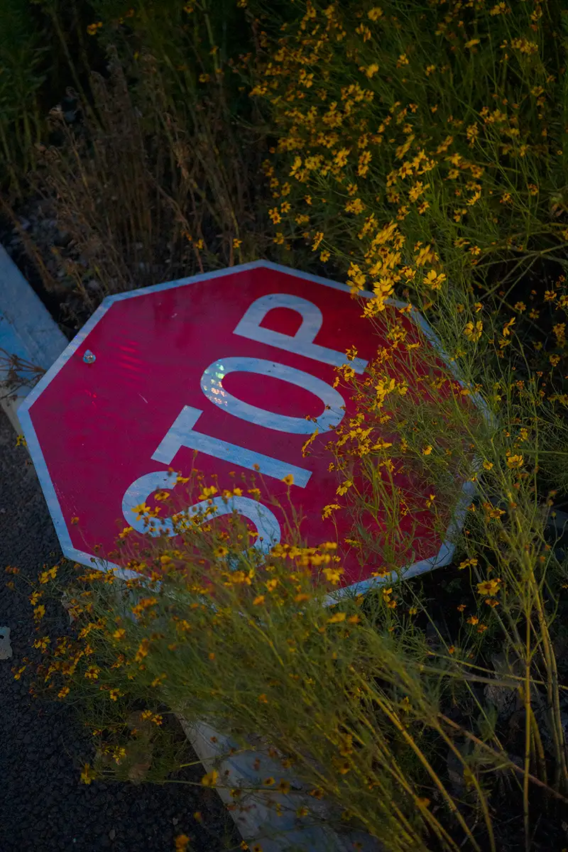 Brooklyn, NY, US