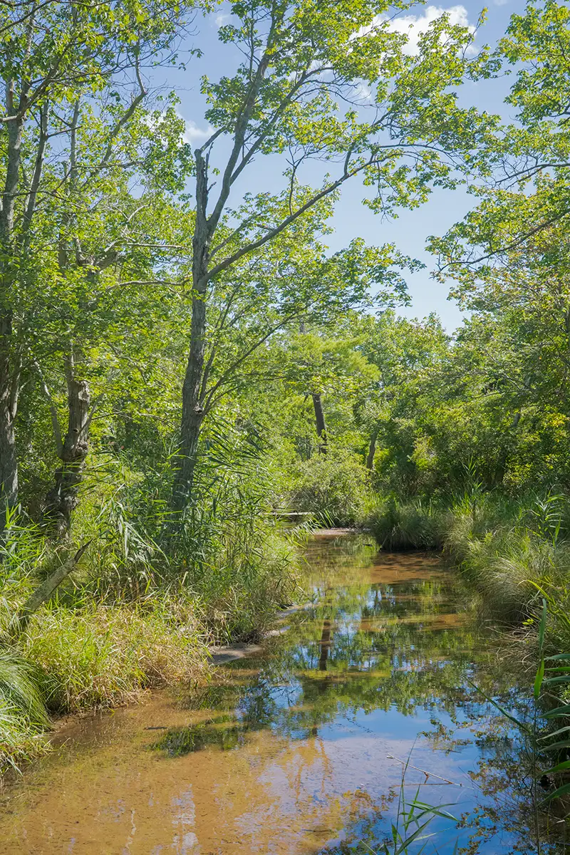 East Hampton, NY, US