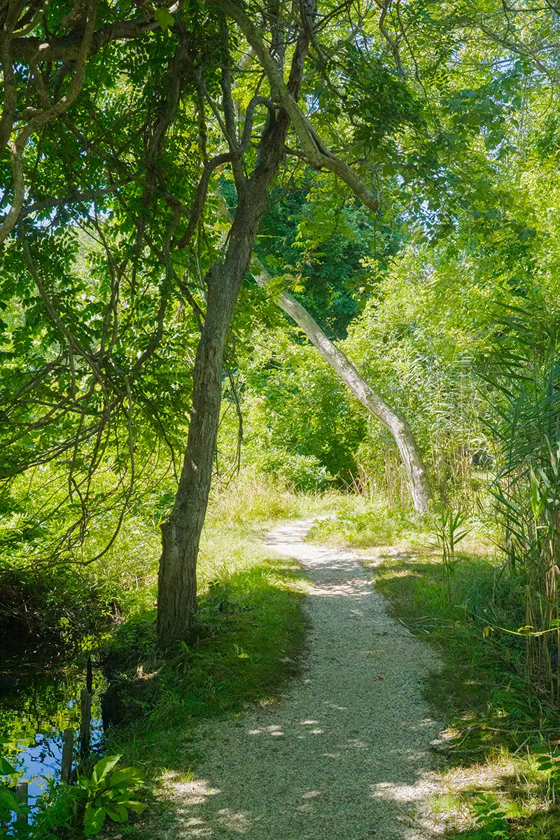 East Hampton, NY, US