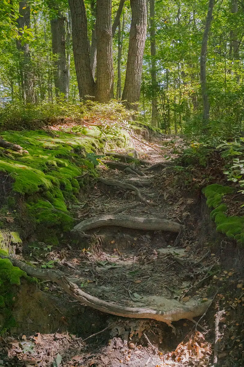 Matawan, NJ, US